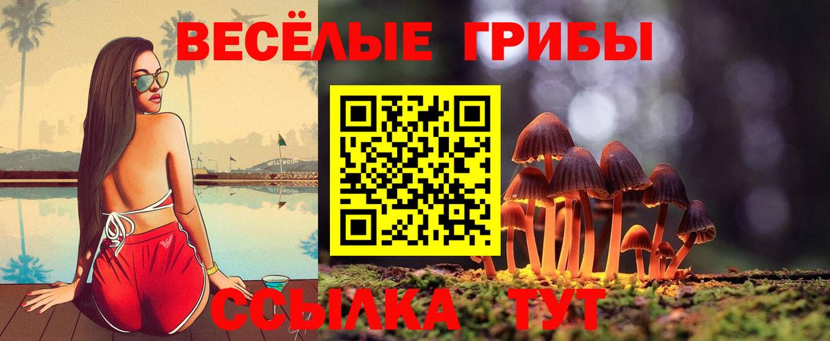 Галлюциногенные грибы прущие грибы  Вход с VPN  Балашов 